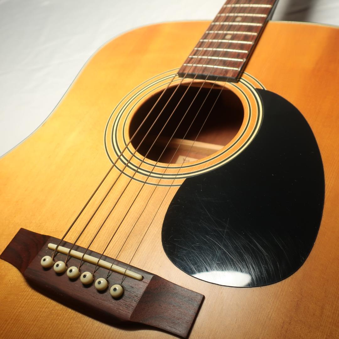 Monsty MD-500 アコースティックギター