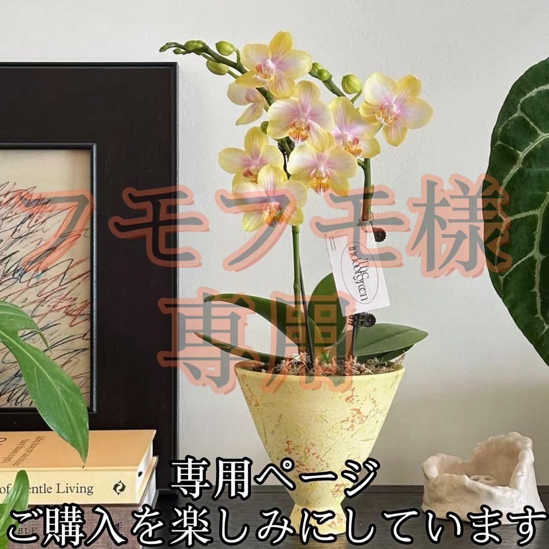フモフモ