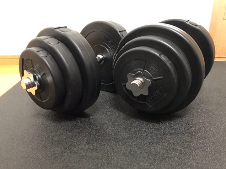 ダンベル(片方10〜20kgで調整可能)