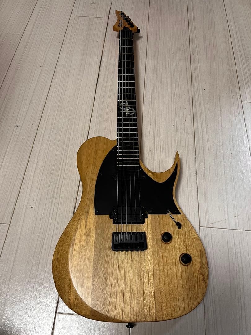 さ*く様 【最終価格】SOLAR GUITARS ソーラーギターズ T2.6