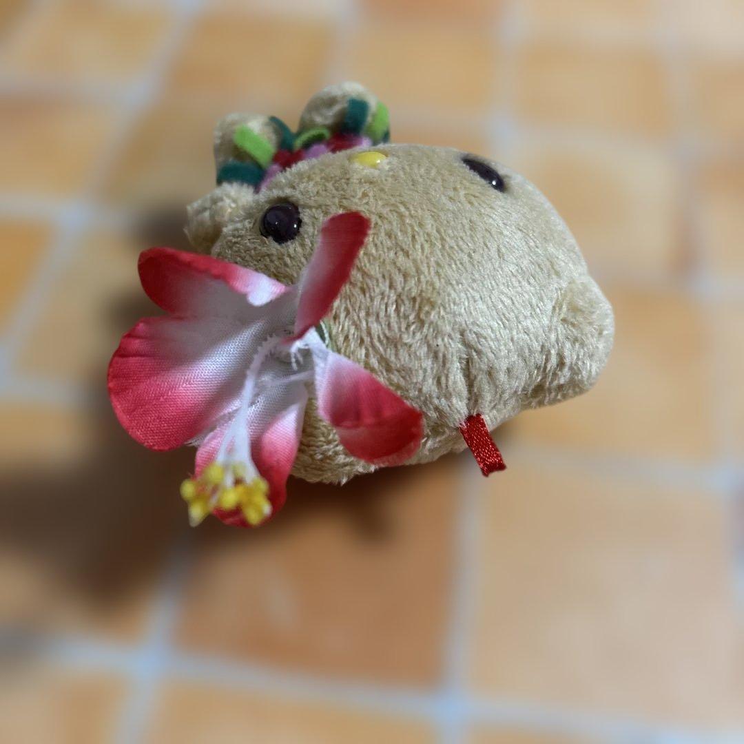 サンリオ ハローキティ ハワイ ぬいぐるみ 日焼け ハイビスカス マスコット