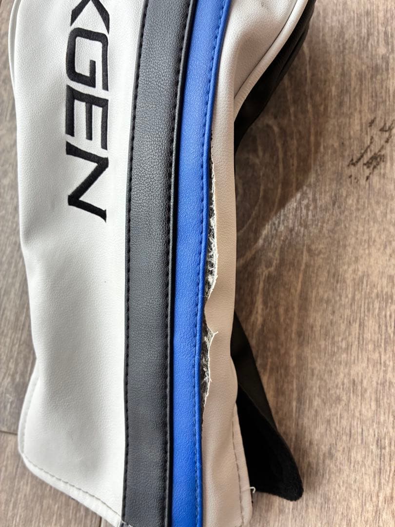 NEXGEN NS250 シャフトTS BLUEドライバー 10.5度