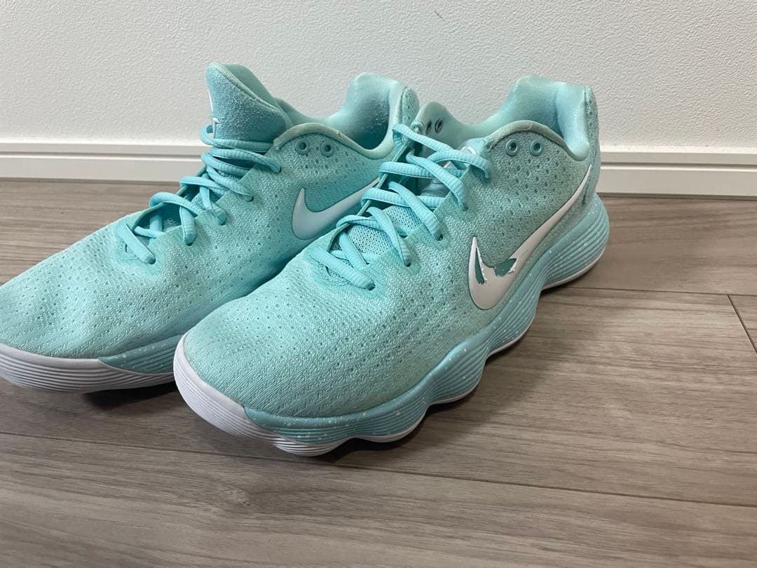 フル様限定　Nike ハイパーダンク2017Low
