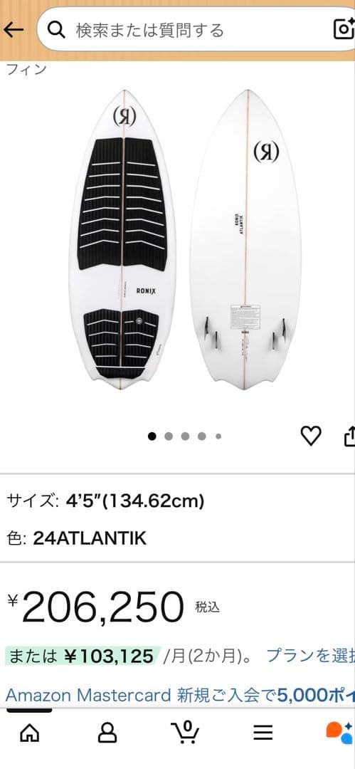 ロニックス　Ronix ATLANTIK 4'9\" ケース付き