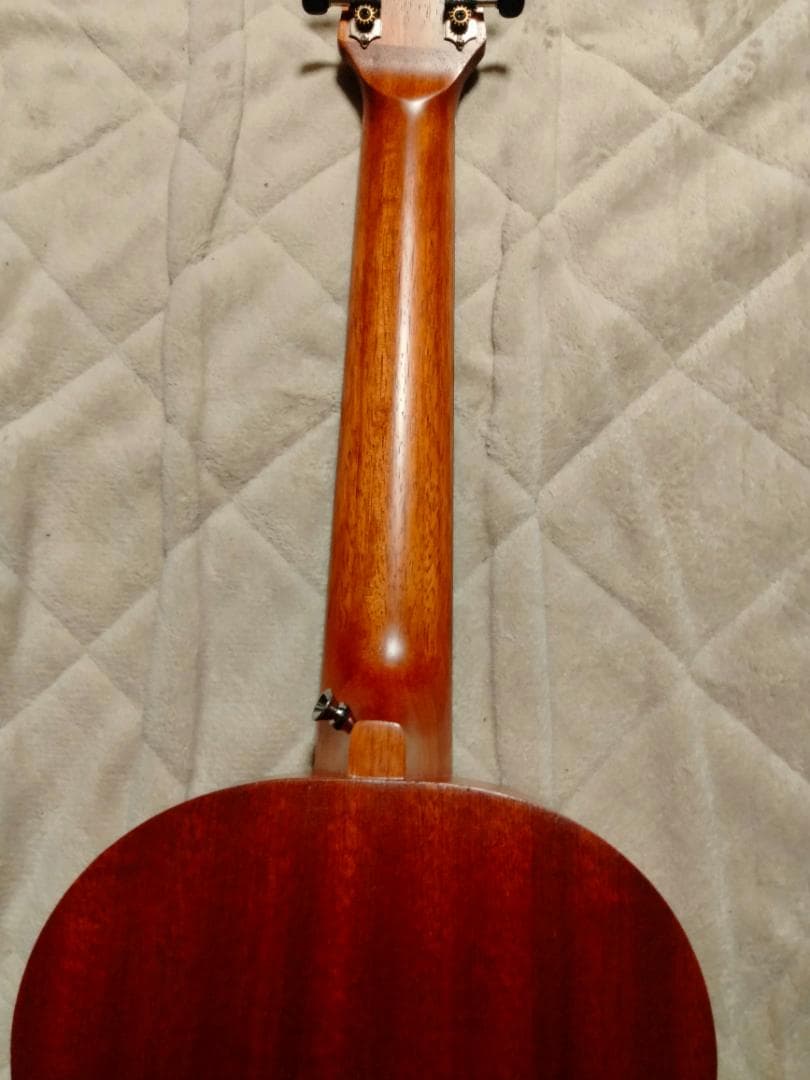 未使用 cordoba coco mini コルドバ ミニギター マホガニー