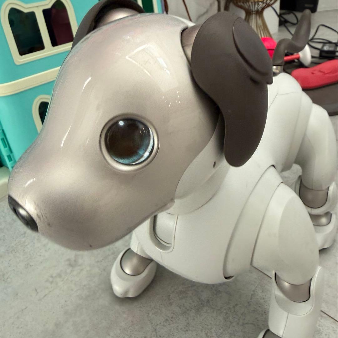 ソニー アイボ aibo ERS-1000 中古