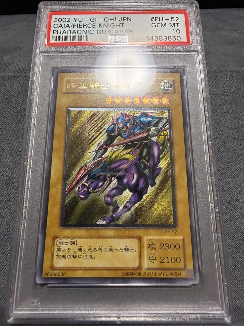 【PSA10】遊戯王　暗黒騎士ガイア　レリーフ