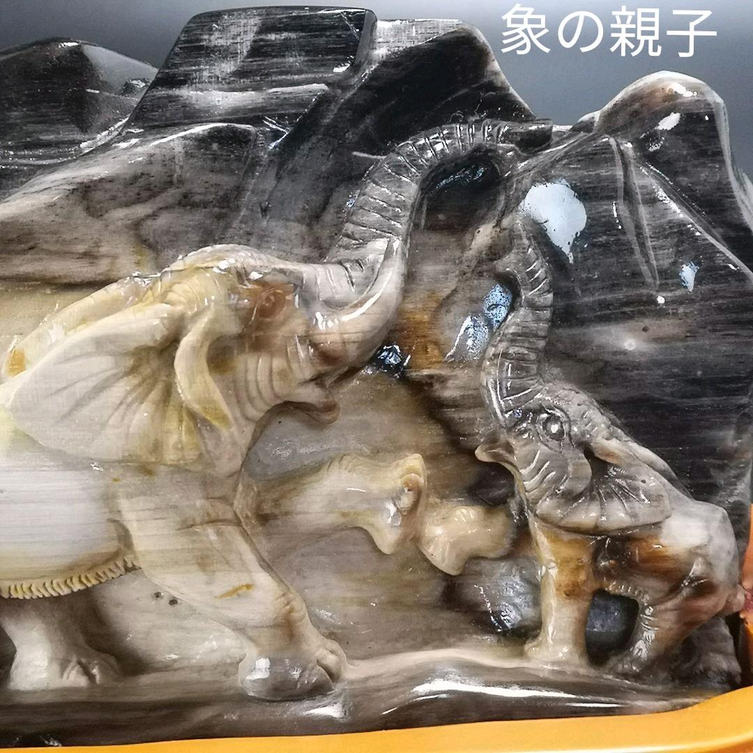象　木化石　珪化木　ペトリファイド　天然石　処分