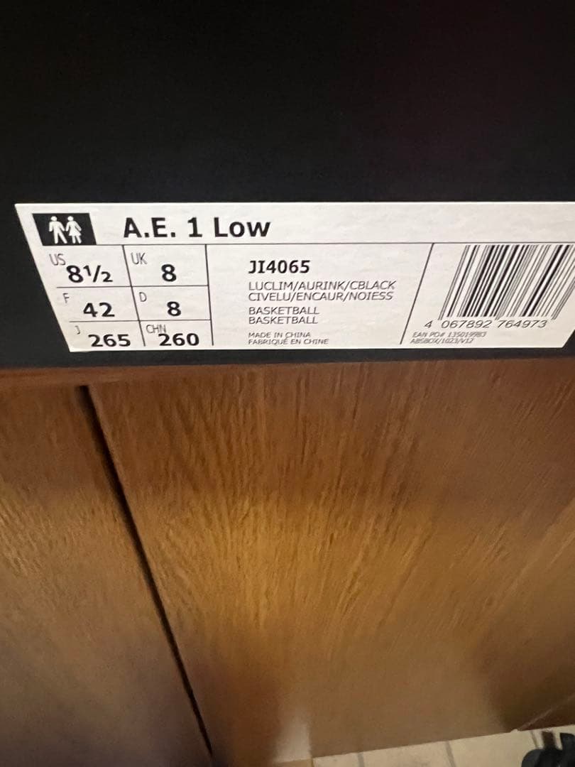 シューズ(男性用) AE1 low