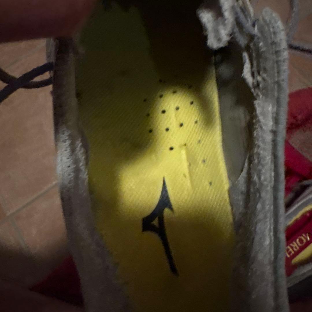名無しの権兵衛 Mizuno Morelia NEO3 シャイニング