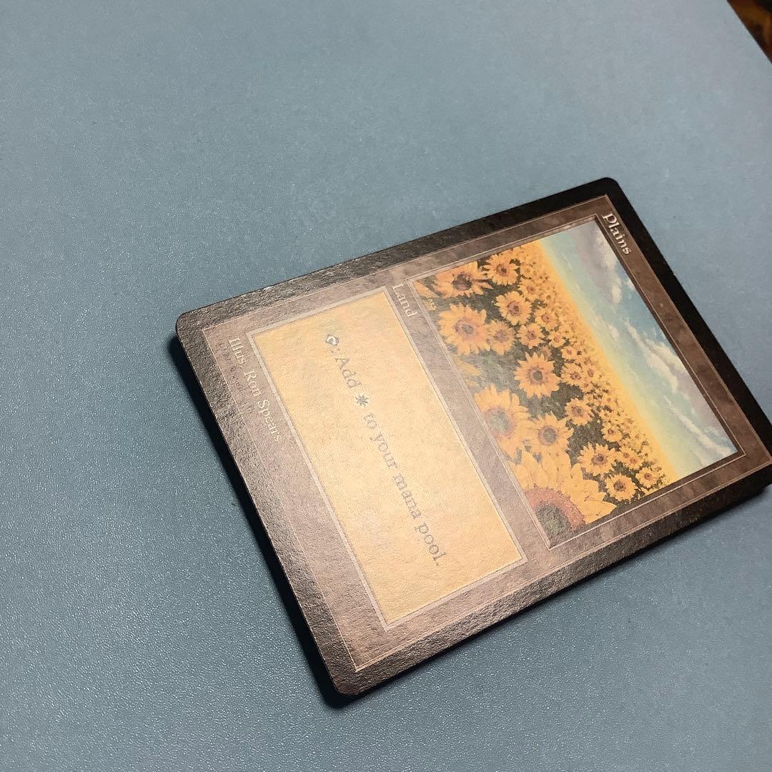 平地/Plains  APAC1 ひまわり