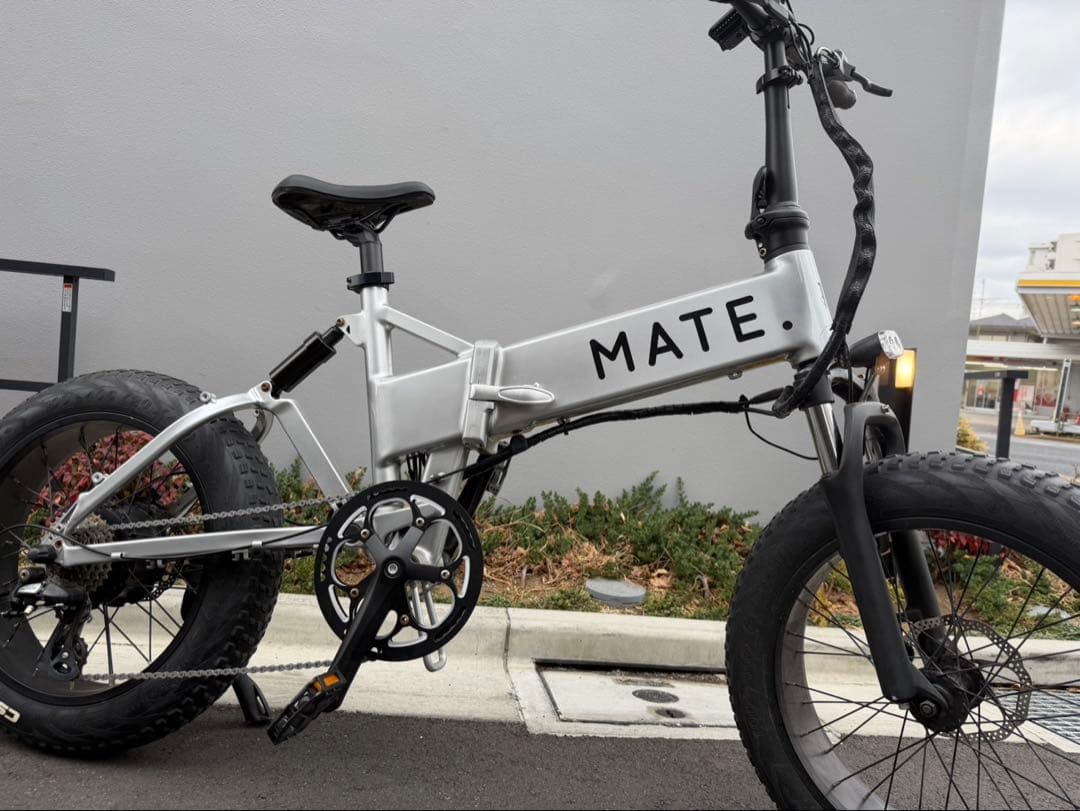MATE BIKE X 250 メイト電動自転車メイトX 限定コラボ