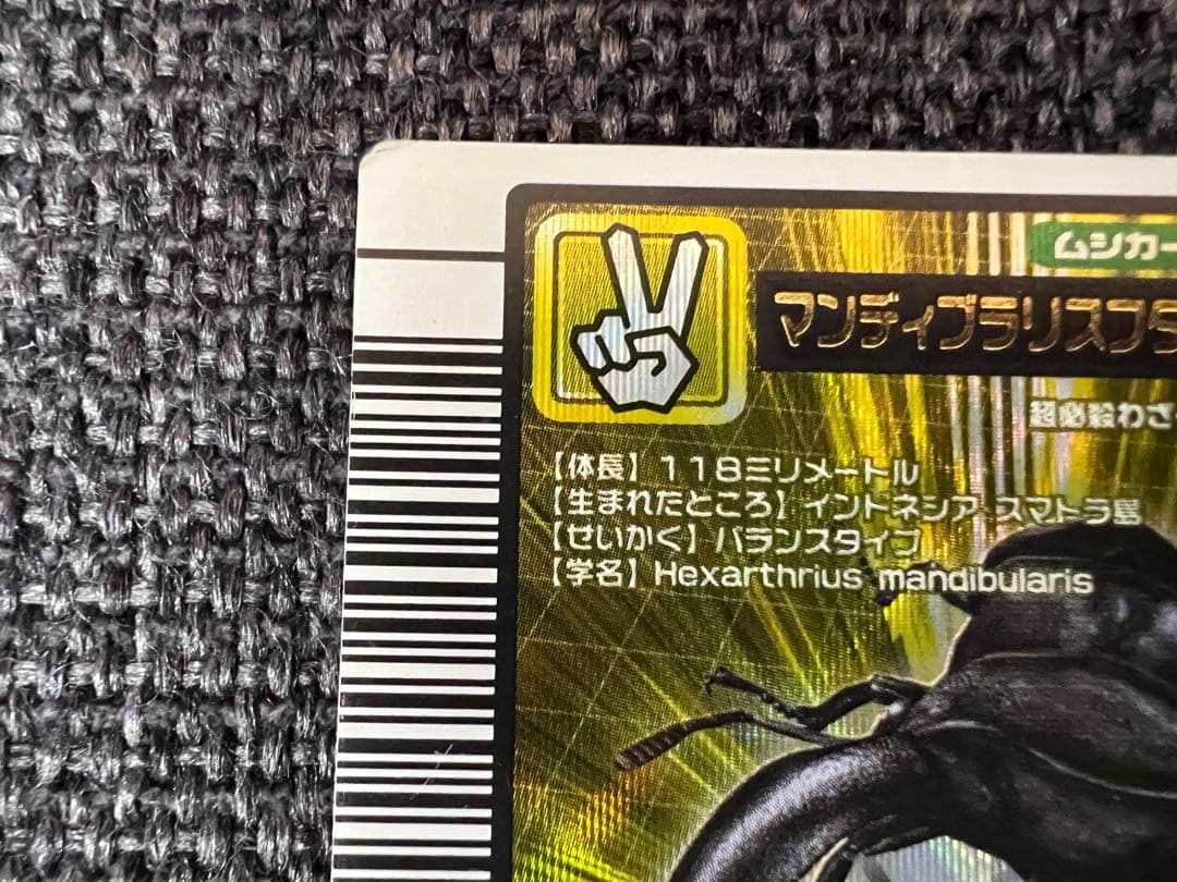 美品 2005年ファースト+ 金レア マンディブラリスフタマタクワガタ 034