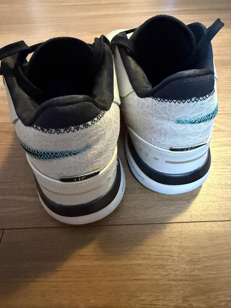【美品】NIKE レブロン NXXT GEN AMPD EP 26.5cm