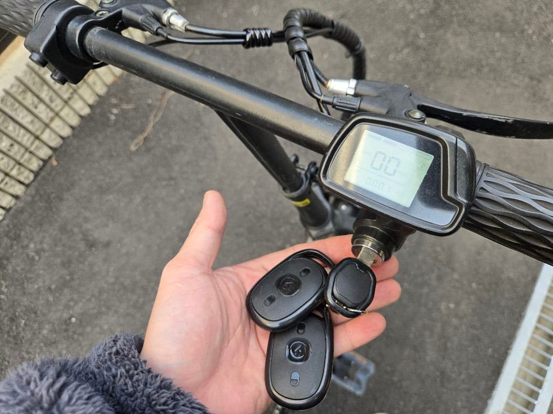 折りたたみ電動アシスト自転車 ブラック