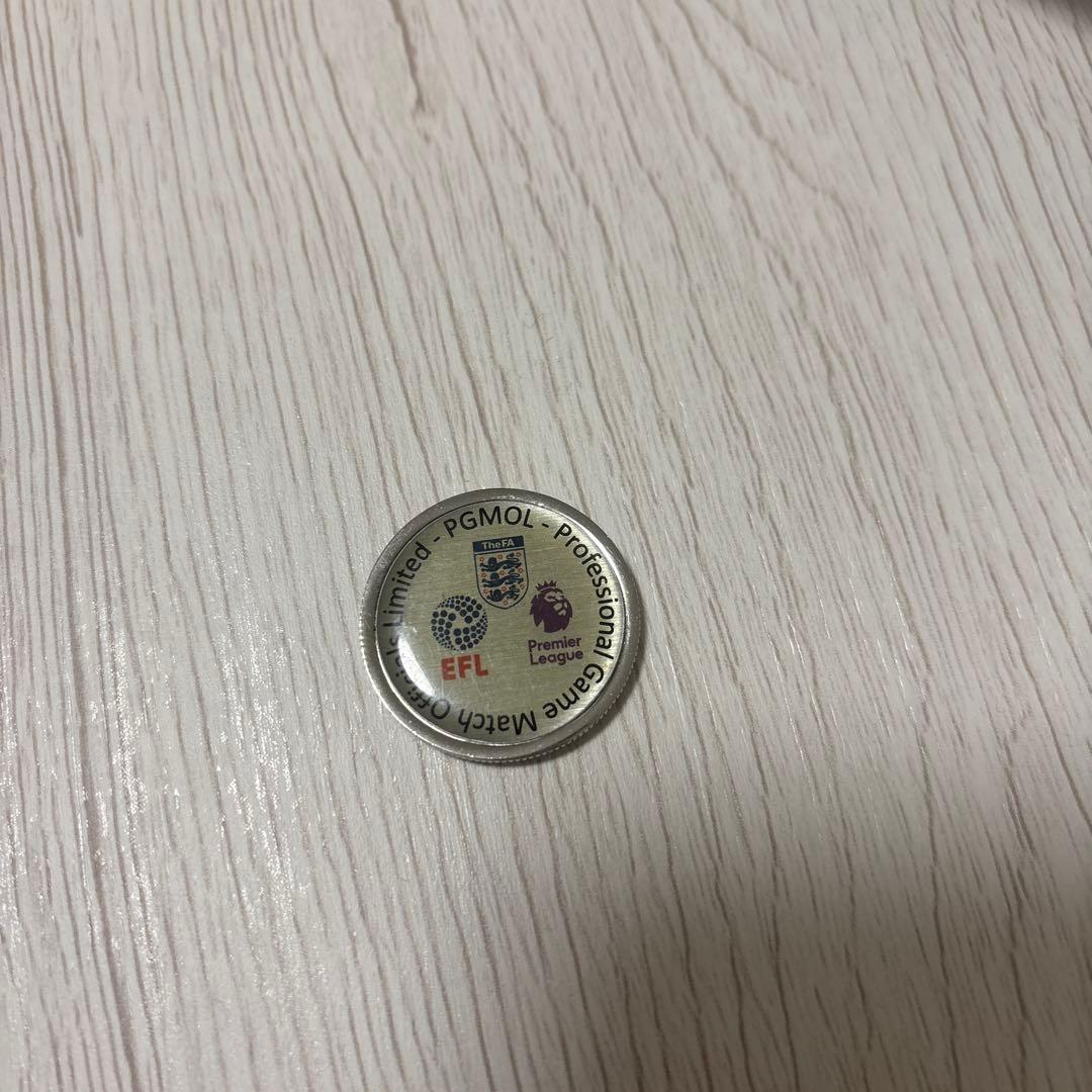 サッカーレフェリートス