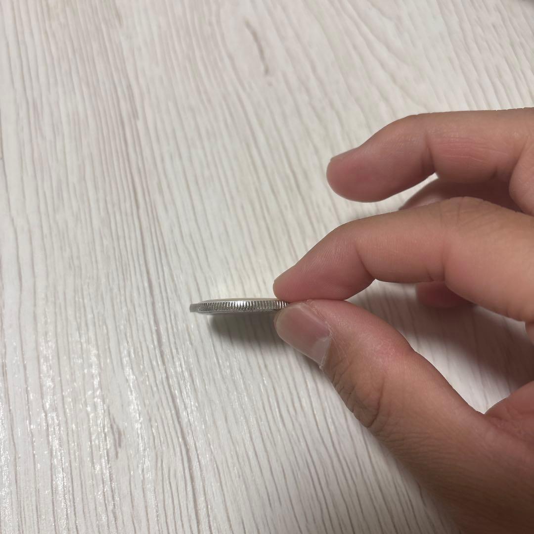 サッカーレフェリートス