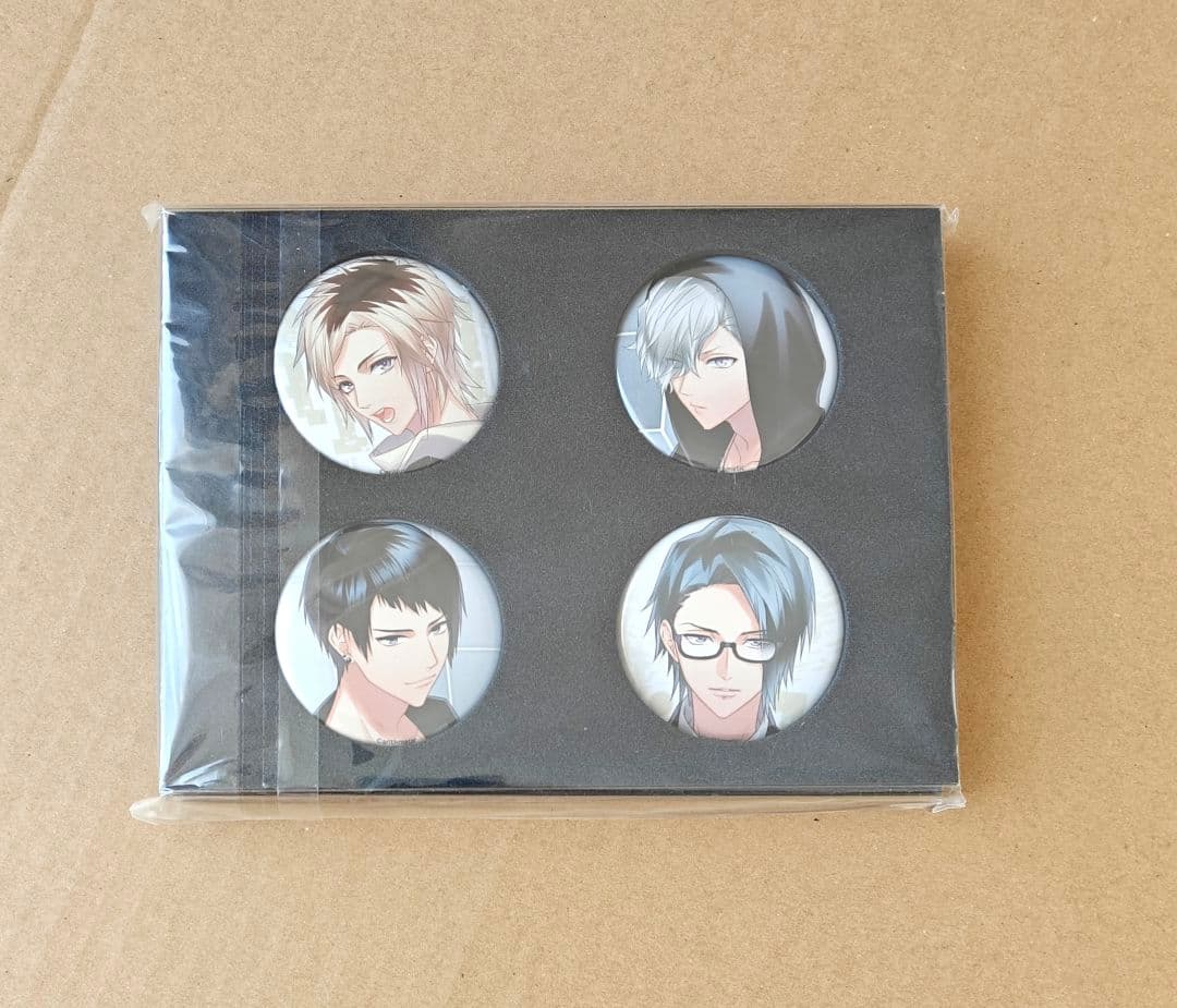 DYNAMIC CHORD Apple-Polisher アッポリ缶バッジ