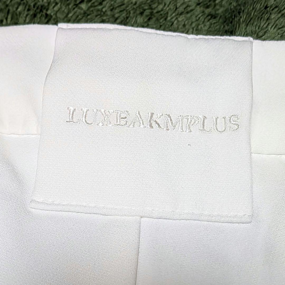 【新品】LUXEAKMPLUS サイドロゴスラックス Lサイズ