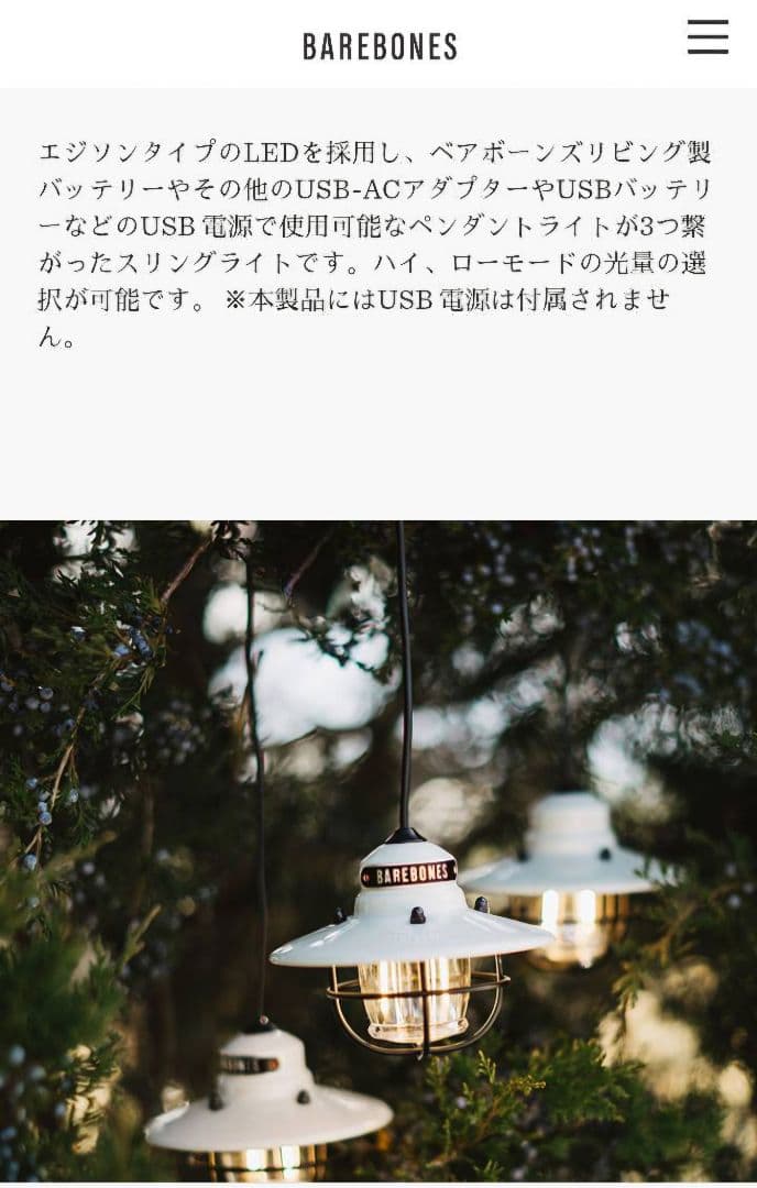 【新品】Barebonesベアボーンズ/エジソンストリングライトLED