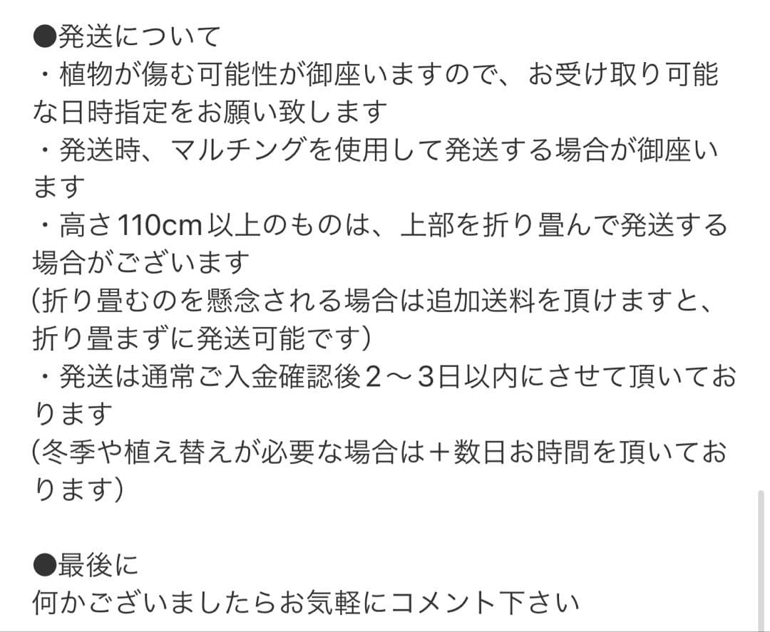 ［現品］【希少】42番 アロエ　ポリフェラ　6号　多肉植物　レア　室内　屋外