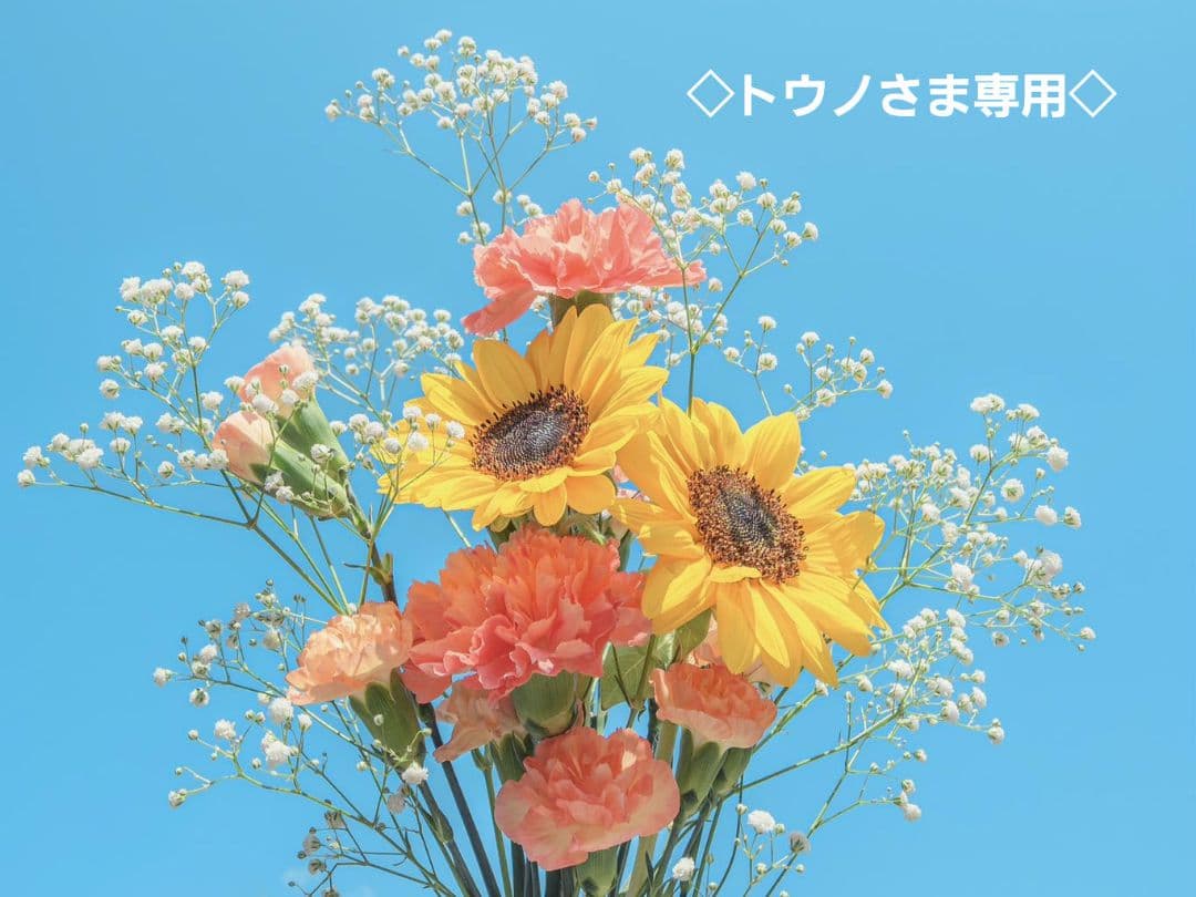 ◇トウノ さま専用◇