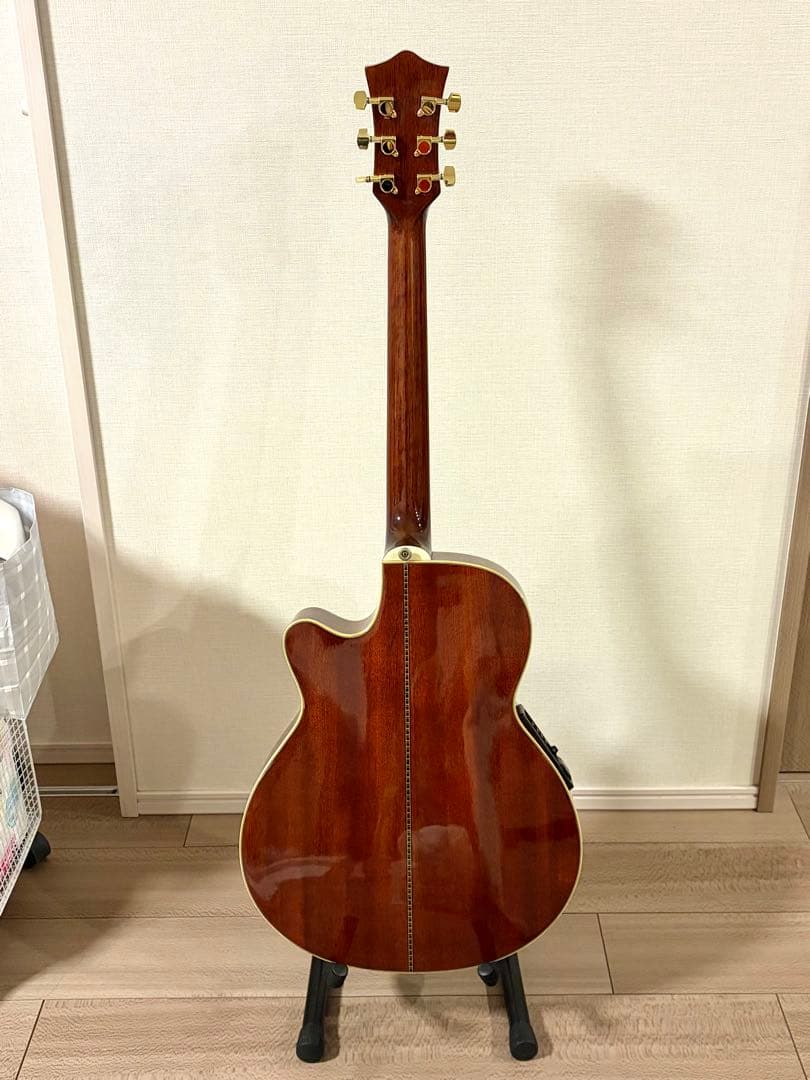 MICHAEL M62 エレアコ　アーチトップ　美品