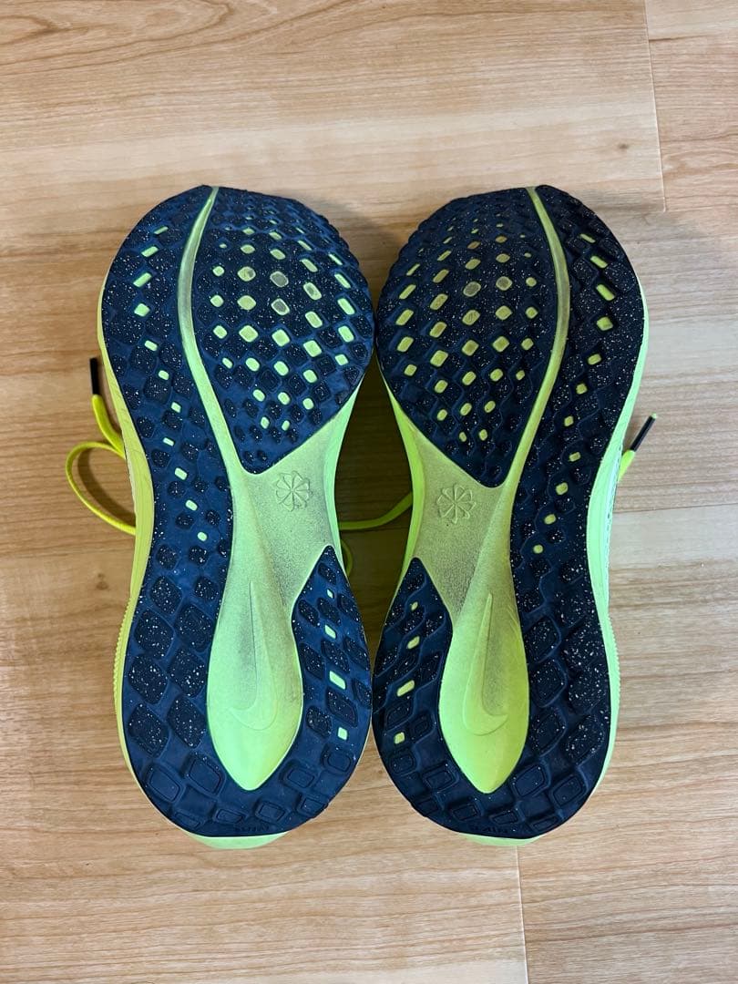 Nike ペガサス 41 27cm