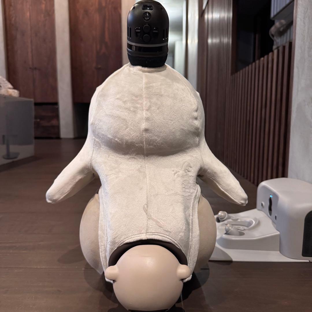 その他 HOSHI