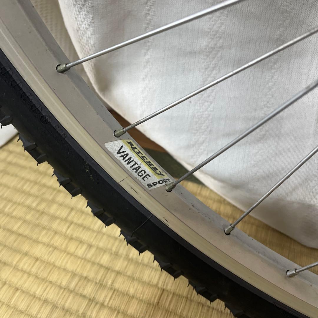 ビンテージ　MTB GT AVALANCHE ハードテール　美車！