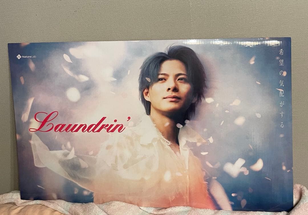 平野紫耀 ランドリン パネル大