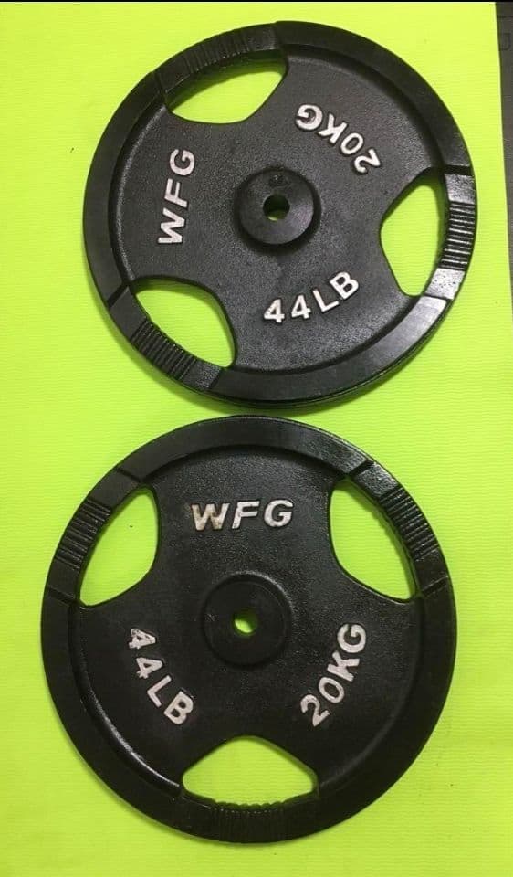①WILDFIT ワイルドフィット プレート 20kg x 1枚(同時購入)