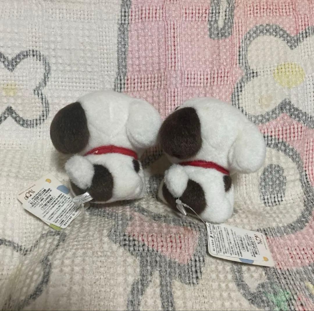 NHK 2008 Little Charo チャロ　ぬいぐるみ　中古品