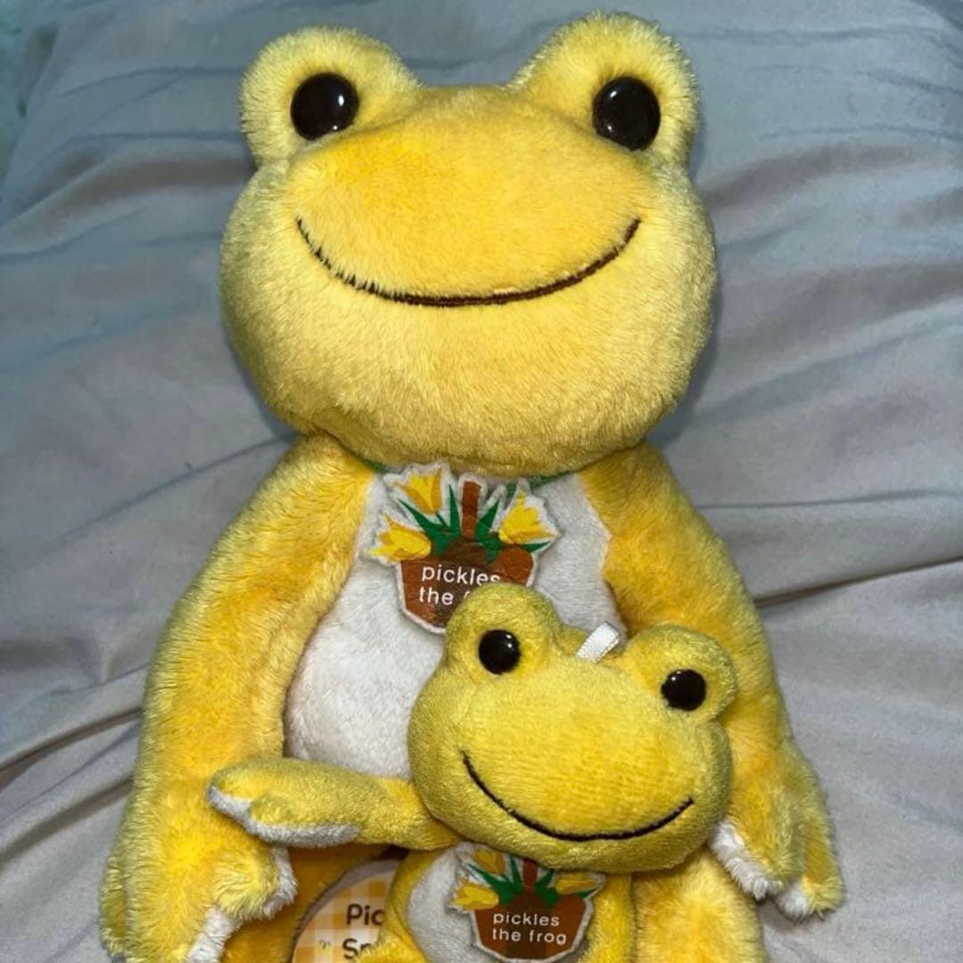【11体セット】ぬいぐるみ まとめ売り pickles the frog