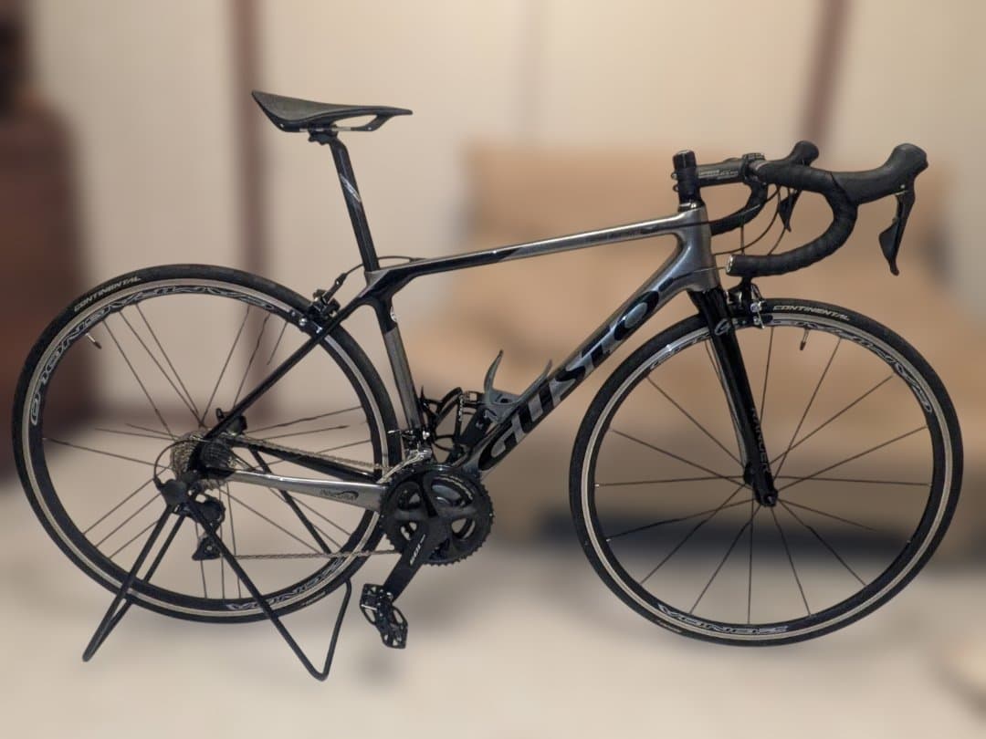 GUSTO Ranger Sport Elite カーボンロード走行1000km