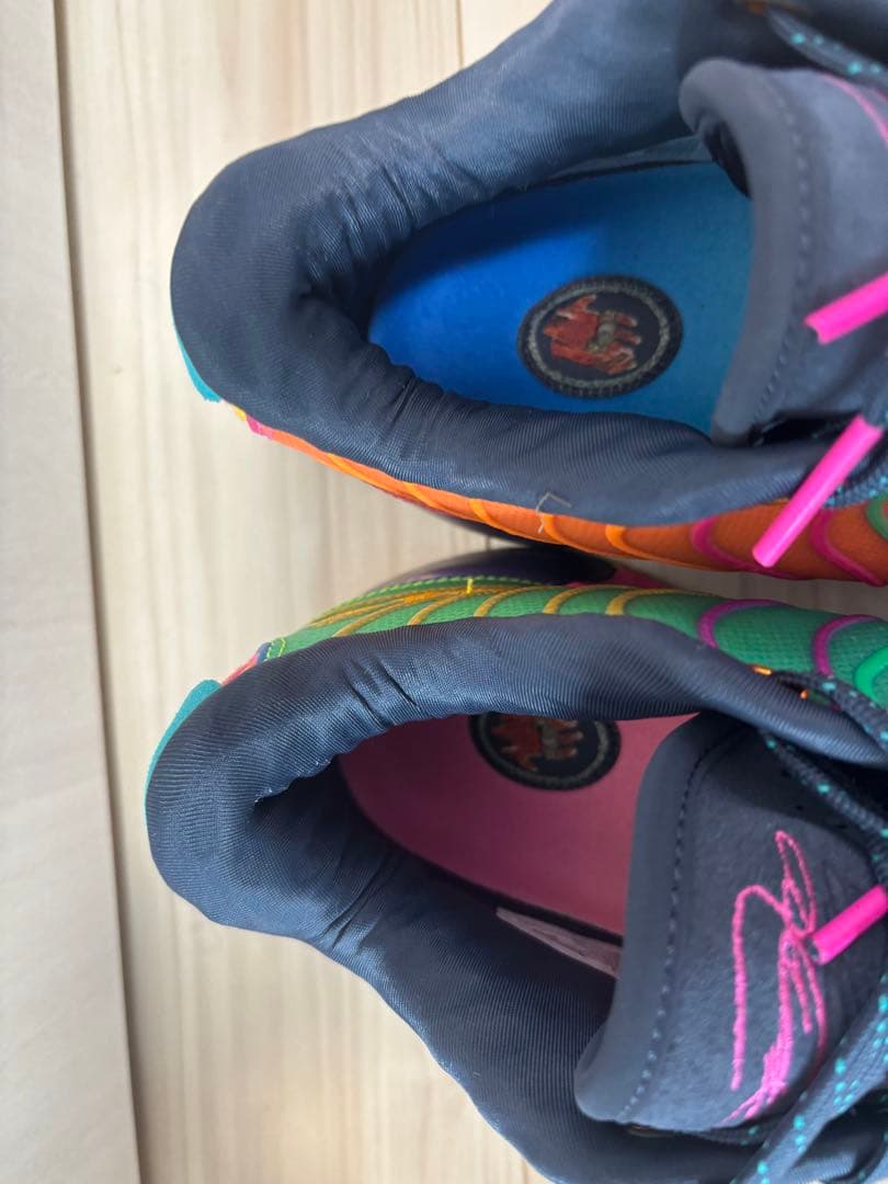 Nike LeBron 21 \"Multi Color\" レブロン21