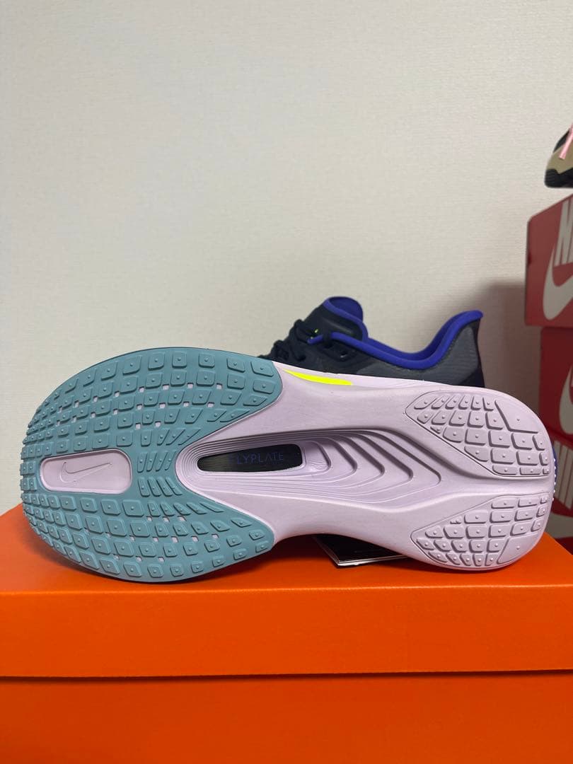 【新品未使用】Nike Zoom Fly 6（28.0）ナイキ ズームフライ6