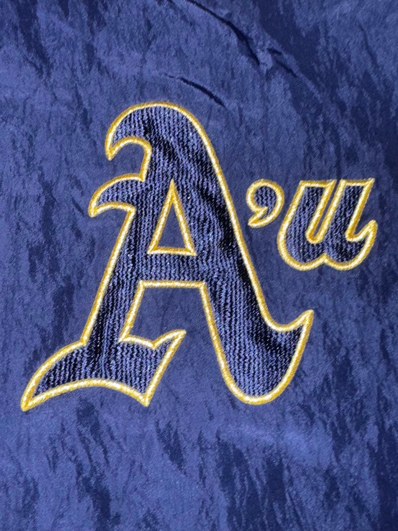 青森大学 硬式野球部 グランドコート