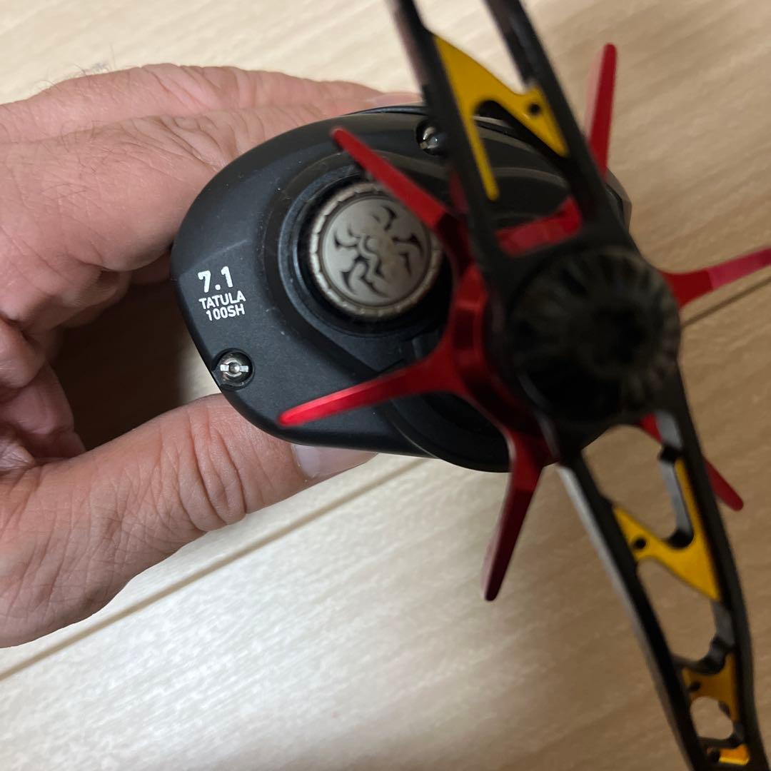 Daiwa 19 TATULA TW 100SH GOMEXUS改