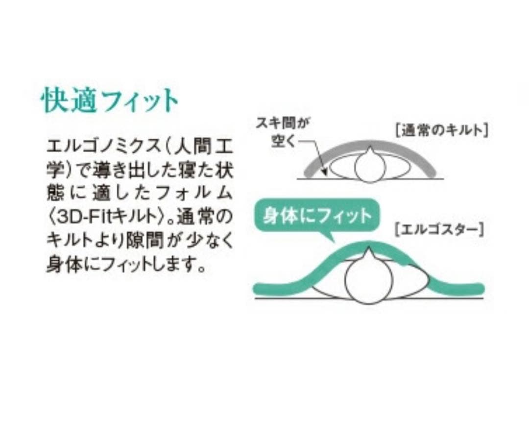【西川掛け布団】エルゴスター　キルティング掛け布団