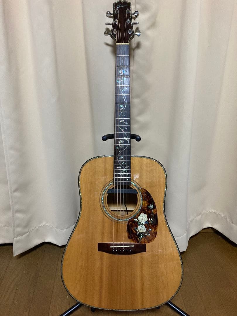 【稀少】ROSSO D-825 FISHMAN エレアコ トップ単板　良鳴り