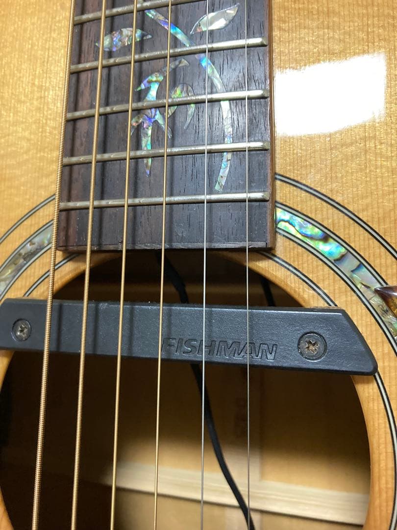 【稀少】ROSSO D-825 FISHMAN エレアコ トップ単板　良鳴り