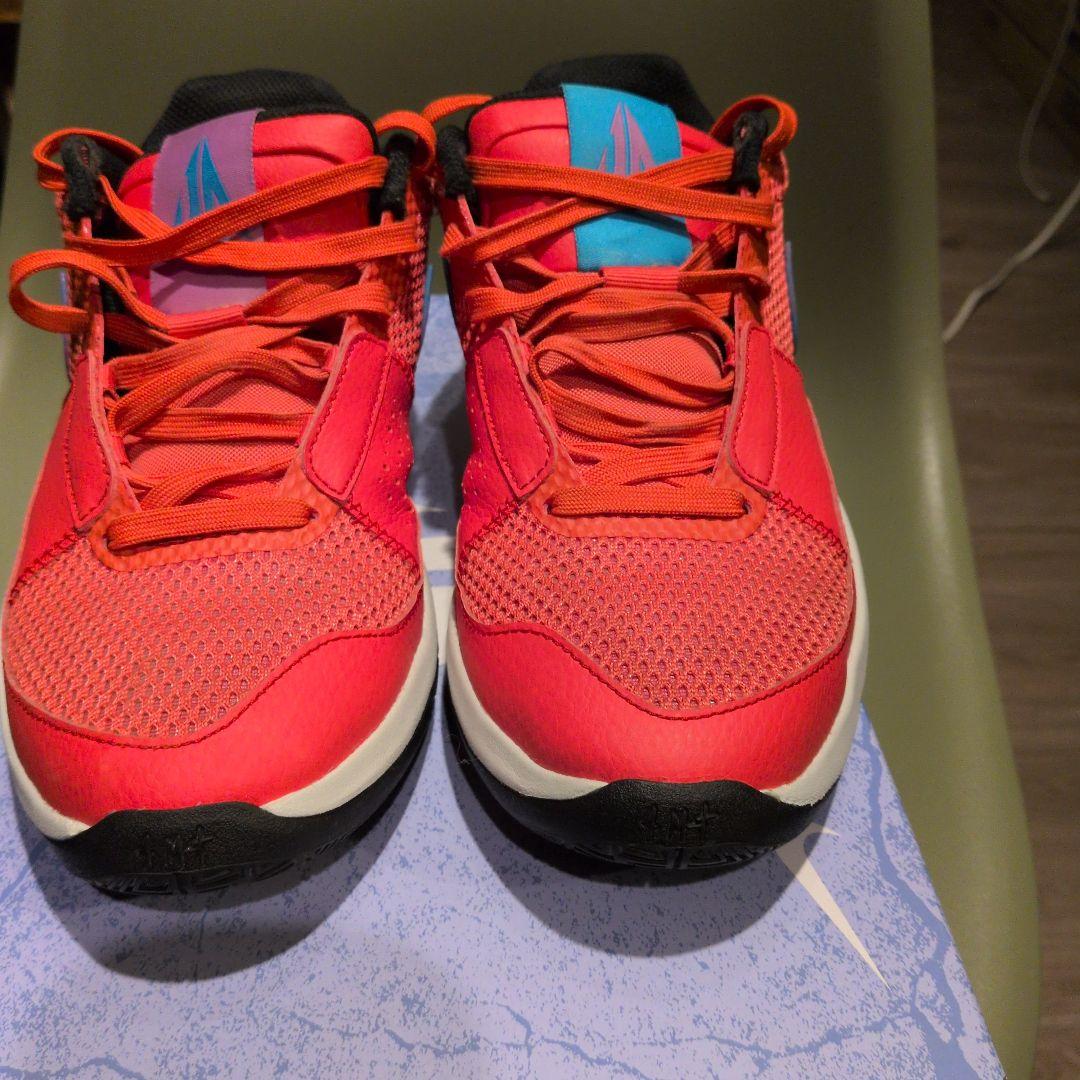Nike JＡ 1 EP25.5