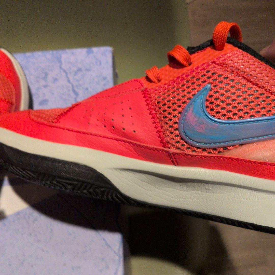 Nike JＡ 1 EP25.5